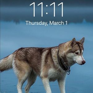 🎉11:11 Flash Sale! 🎉